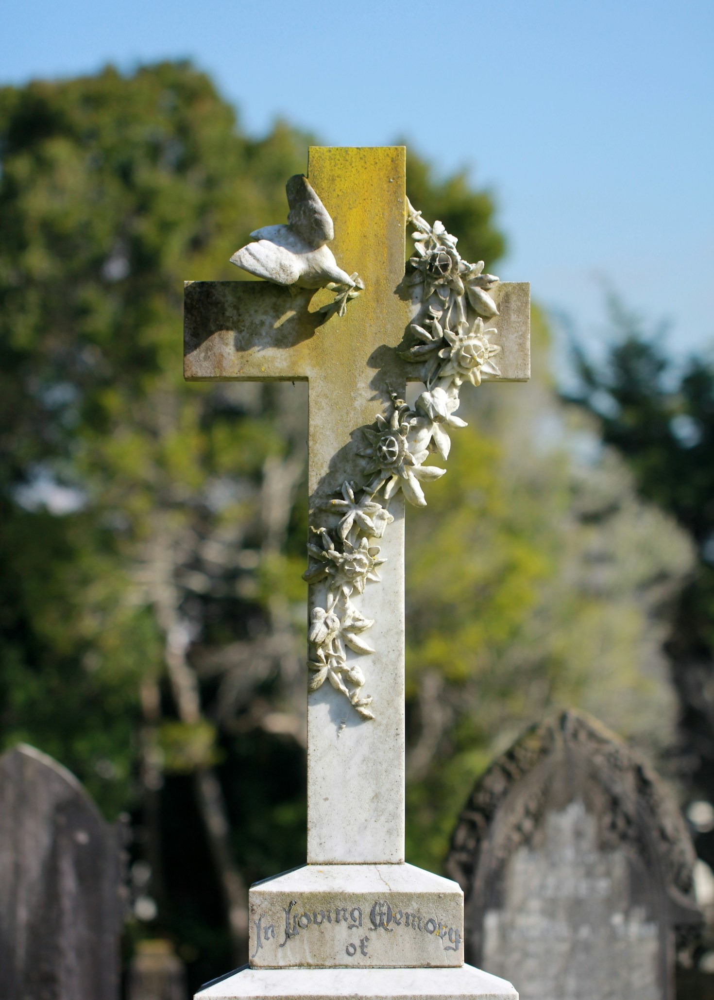 Connecting Hearts with Shared Legacies